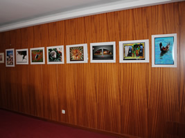 Exposición fotográfica